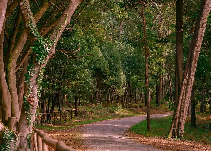 Appartamento Marginal Oceanica *